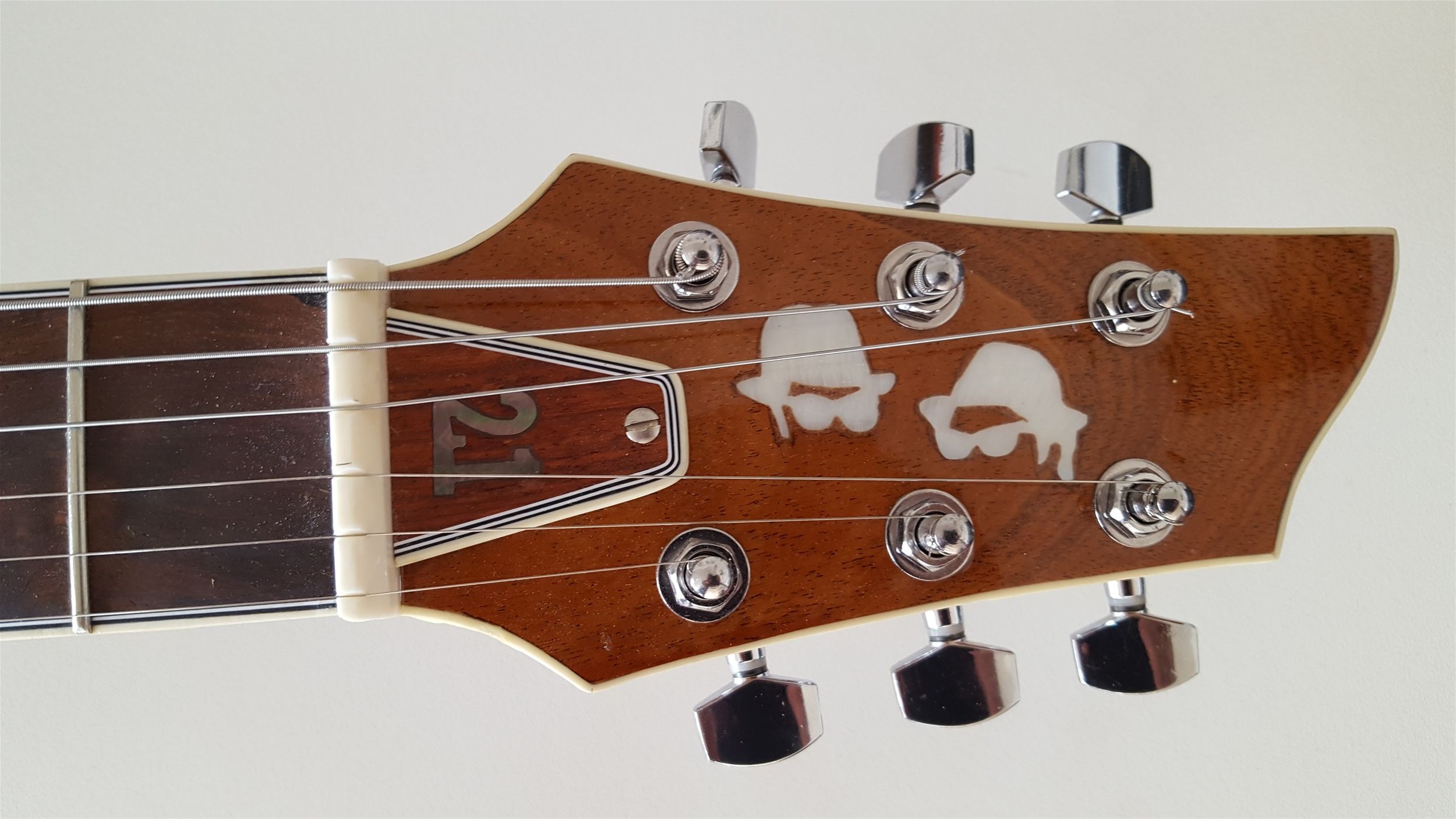 Perlemors guitarist